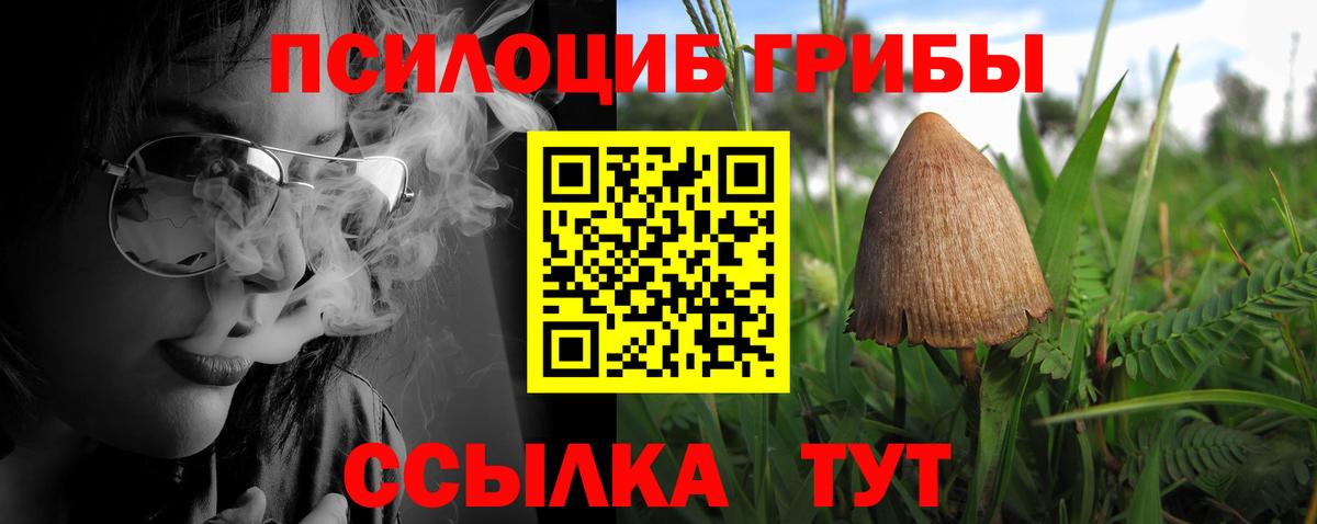 Псилоцибиновые грибы мицелий Сибай